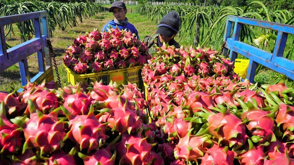 越南农产品出口中国的潜在出口空间