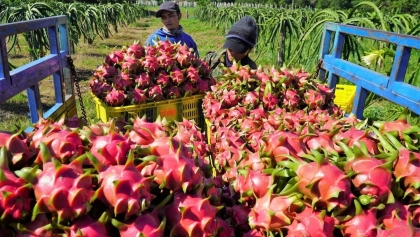 越南农产品出口中国的潜在出口空间