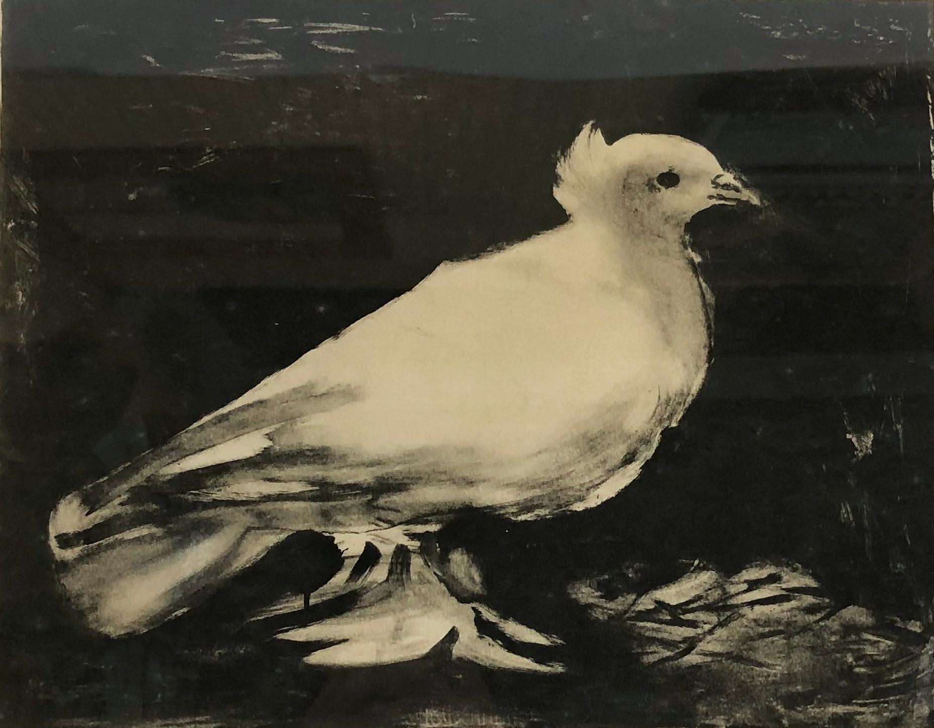 画家毕加索的故事：鸽子图像是世界和平的象征