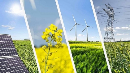 绿色能源可持续发展7项建议