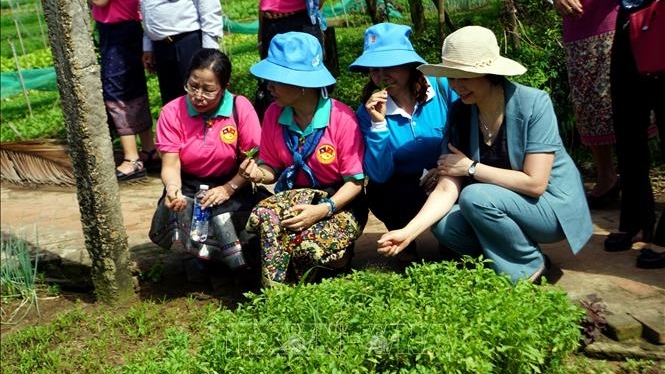 老挝妇女联合会代表团访问广南省