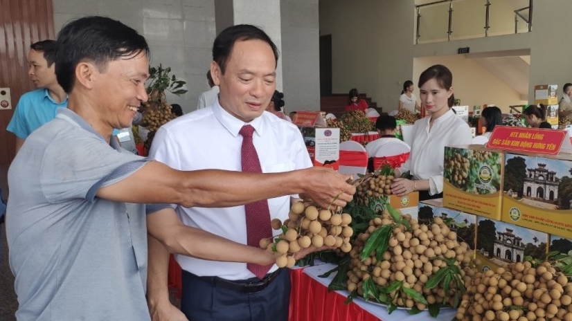 中国大使馆代表承诺为越南兴安省农产品打入中国市场搭建桥梁
