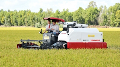荷兰援助九龙江三角洲地区实现农业可持续转型适应气候变化