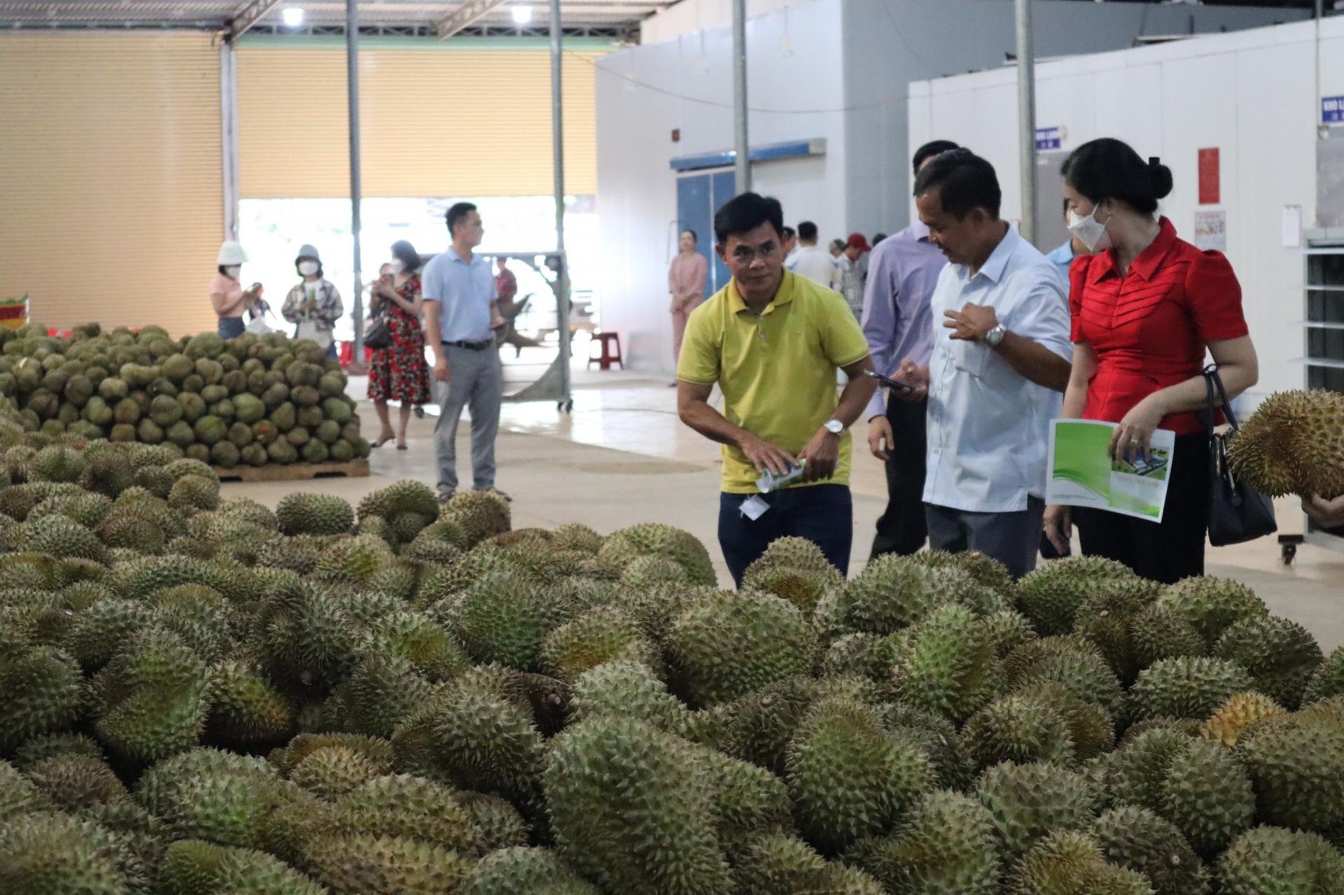 2022年前8个月越南蔬果对中国出口额达10亿美元