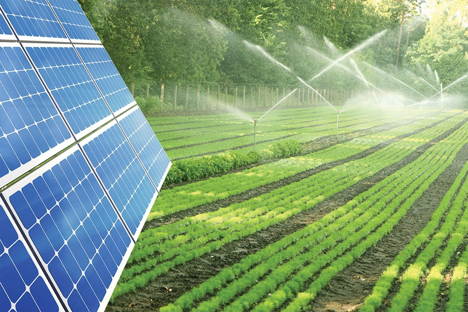 Bản in : 实现绿色增长有助于提高对气候变化的抵御能力 | Vietnam+ (VietnamPlus)