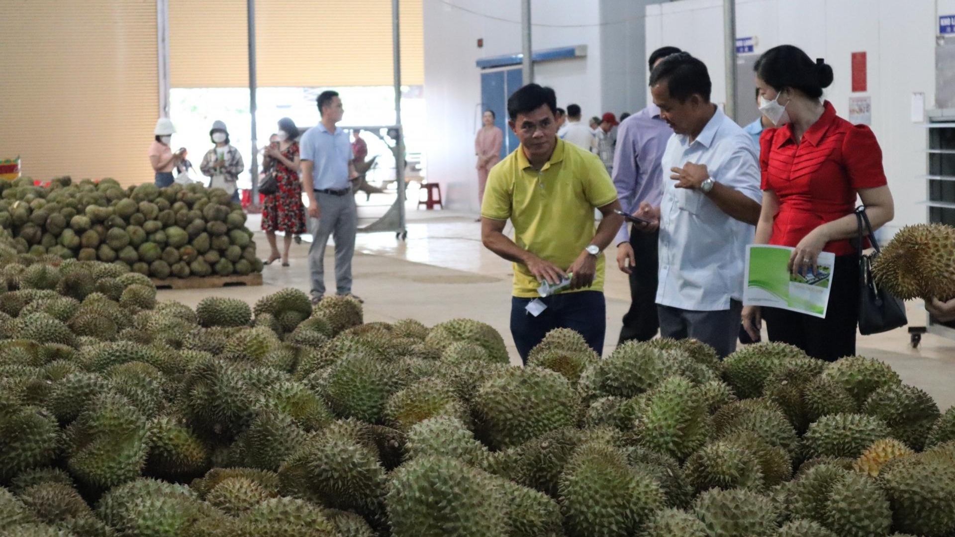 越南蔬果对中国出口额达10亿美元