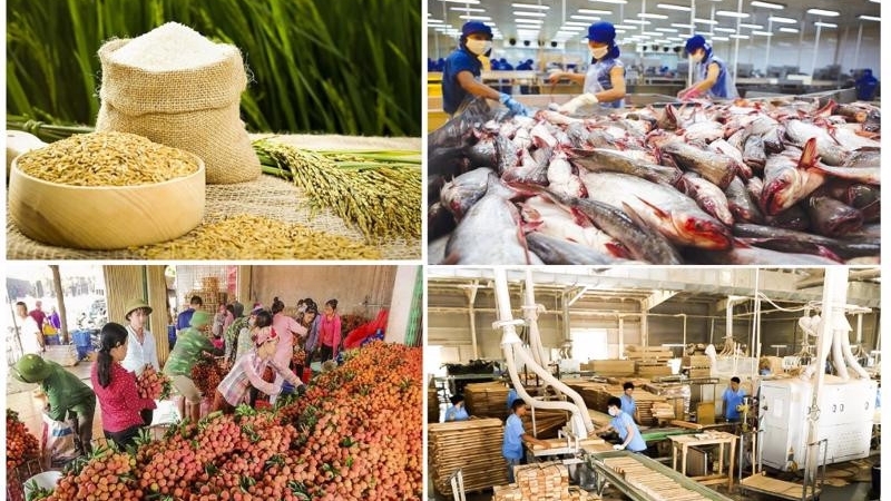 越南农林水产出口继续保持增长势头