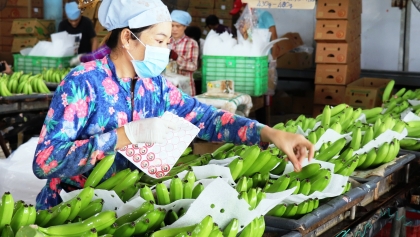 积极适应中国农产品进口新规