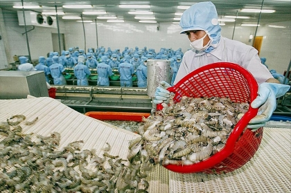 中国成为越南9月份最大虾类出口市场