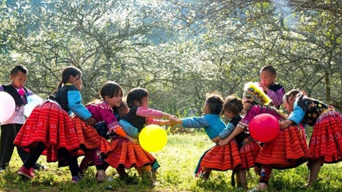 春节逐渐敲越南少数民族每家庭大门