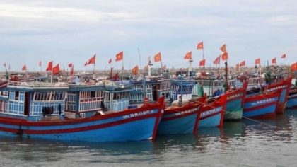 连续6个月 越南没有渔船违反IUU