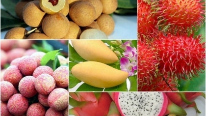 欧盟支持越南出口蔬菜、水果和香料