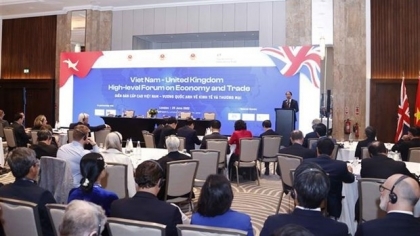 越南政府副总理黎文成：越英战略伙伴关系取得重要进展 为两国的经济社会发展做出重要的贡献
