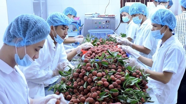 《越南对中国农产品出口指南》正式出版发行