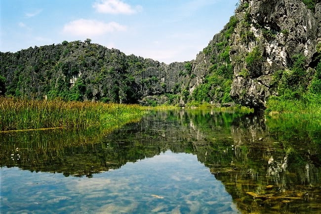越南自然保护地绿色