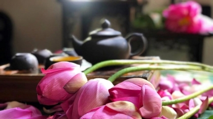 西湖莲花茶蕴含着河城人的文化特色