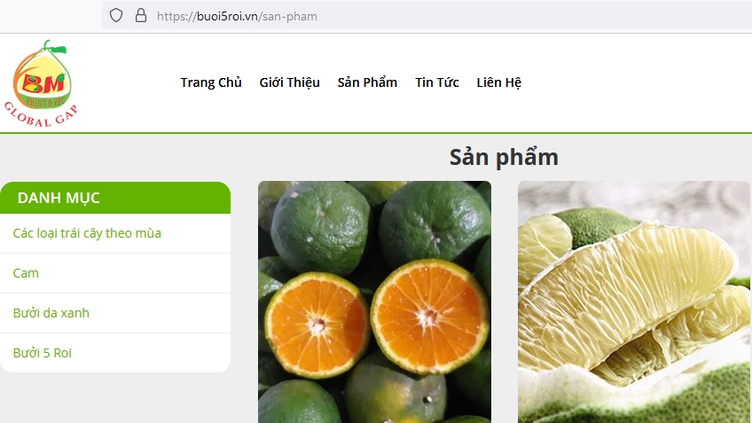 永隆省农产品以“.vn” 域名登上电子商务平台