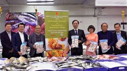 越南查鱼、巴沙鱼占领澳大利亚市场