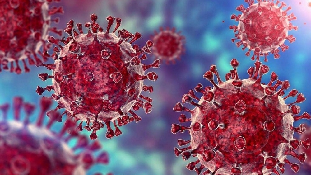 越南政府刚向国会递交了一份关于疫情防控特别是应对新冠病毒“奥密克戎”变异毒株的报告