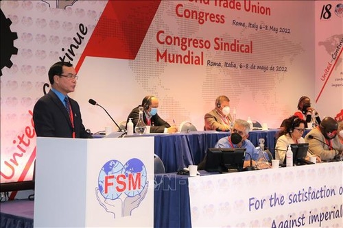 越南劳动总联合会主席阮庭康在大会上发言。