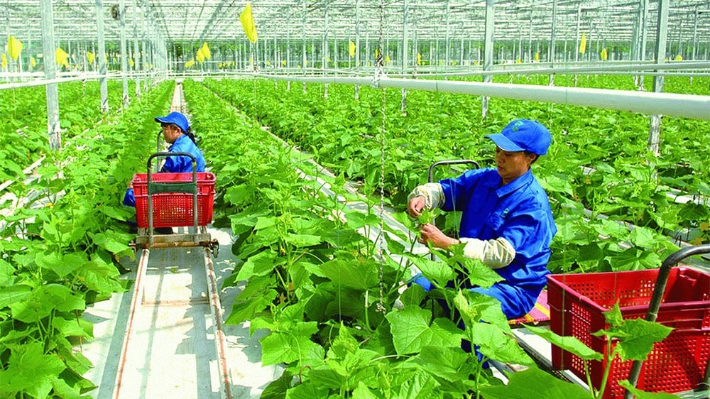 薄辽省：加强扩大有机农业生产规模