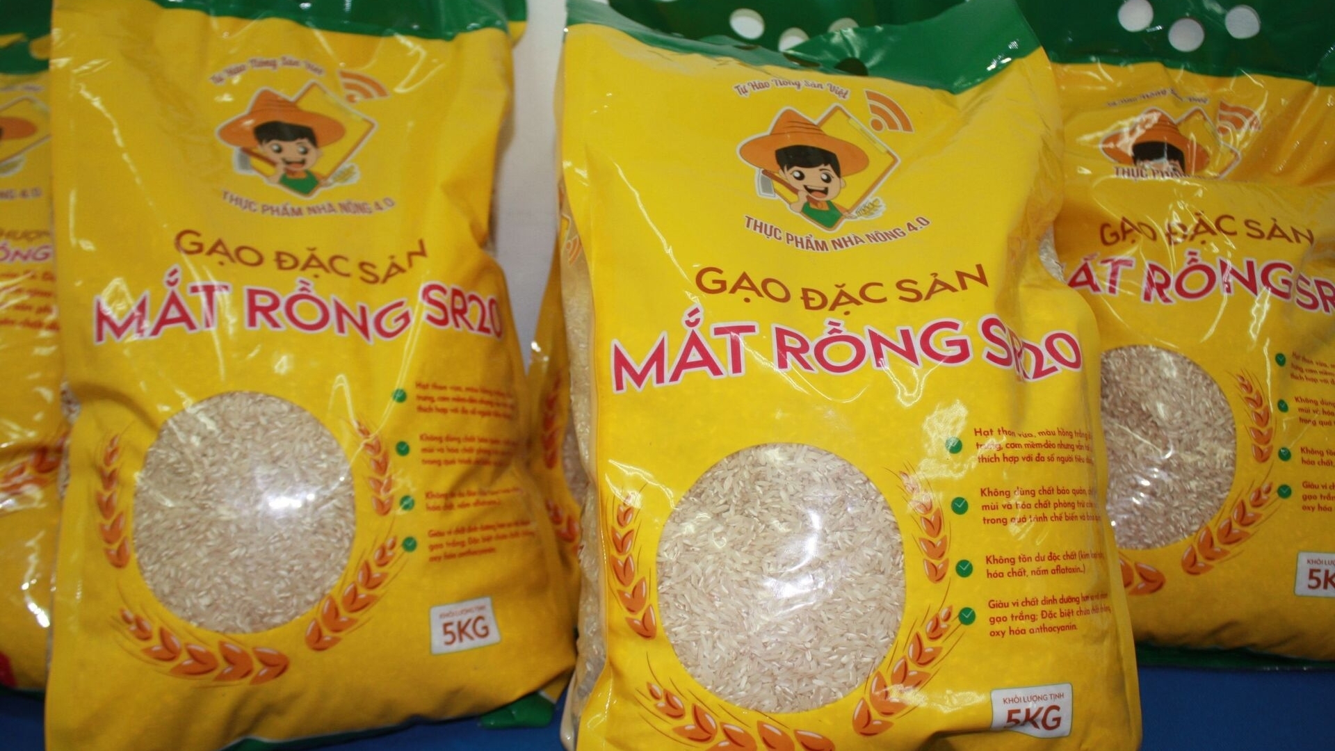 越南出口大米的质量和价值得以提高
