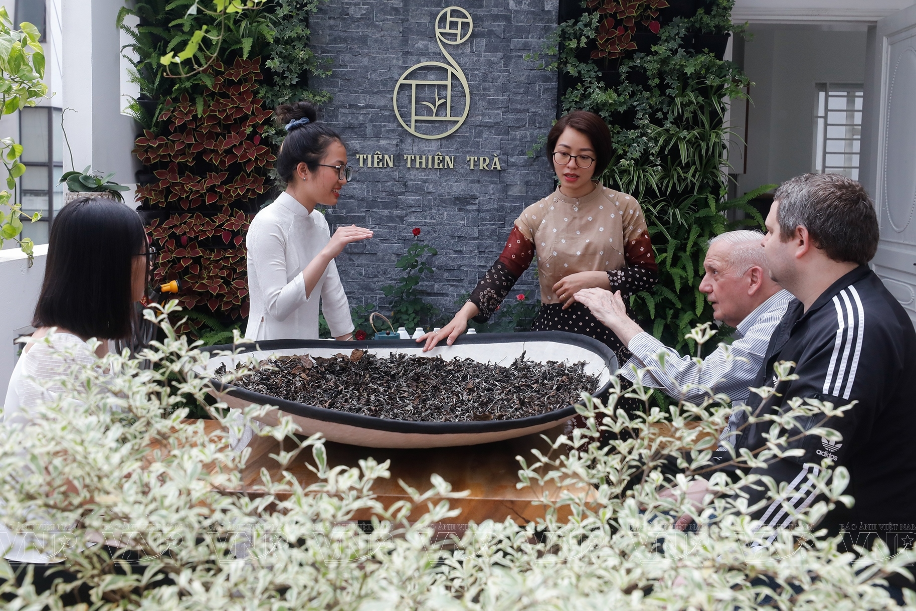 仙天茶馆为外国人开设越南茶艺班。