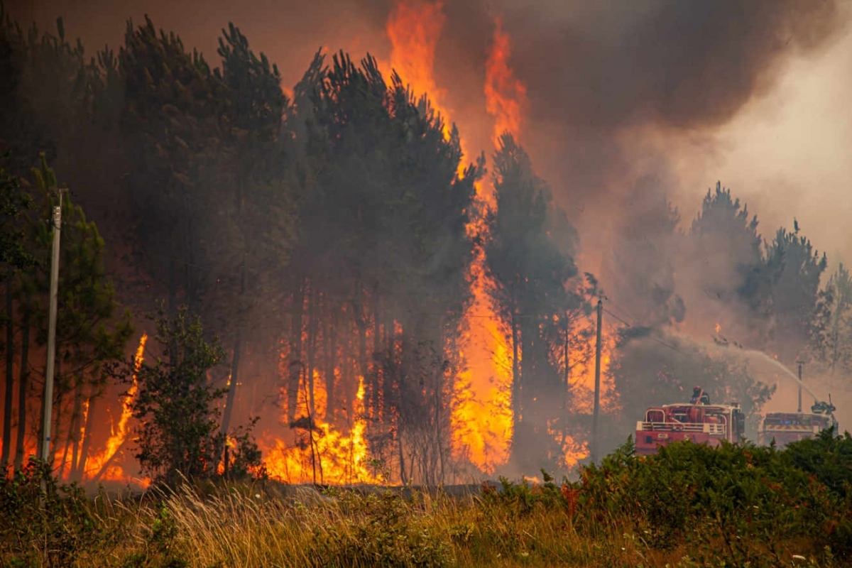 2022 年 8 月 11 日，法国西南部圣马涅附近的森林发生火灾。