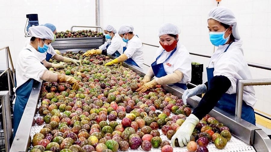 越南将签署多种出口中国水果植物检疫议定书