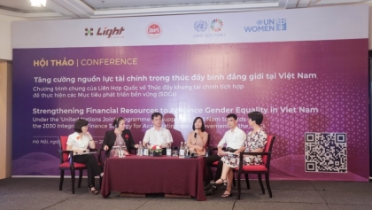 举行“加强越南促进性别平等工作的财政资源”研讨会