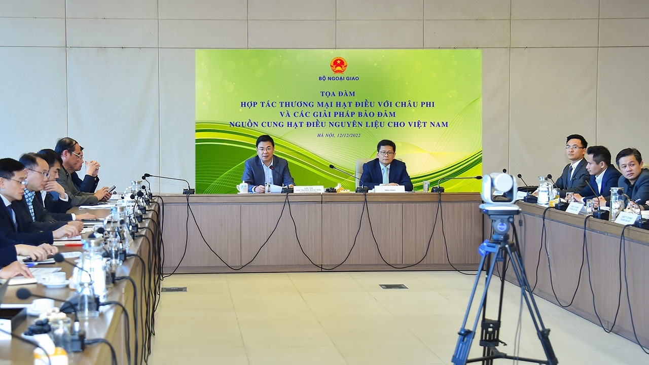 加强与非洲腰果贸易的合作及确保越南腰果原料供应充足的解决方案