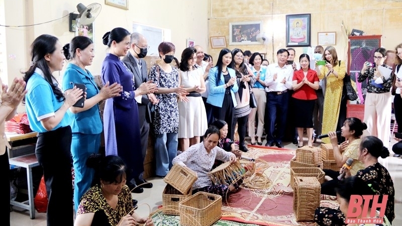 促进越南妇女联合会与欧盟驻越南代表团和欧盟伙伴之间的合作