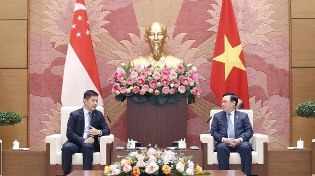 促进越南与新加坡国会之间的合作