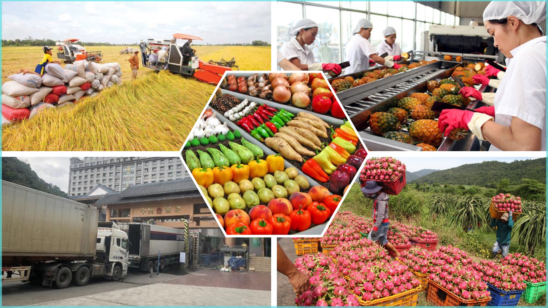 2021年越南农产品供需对接取得的显著成效