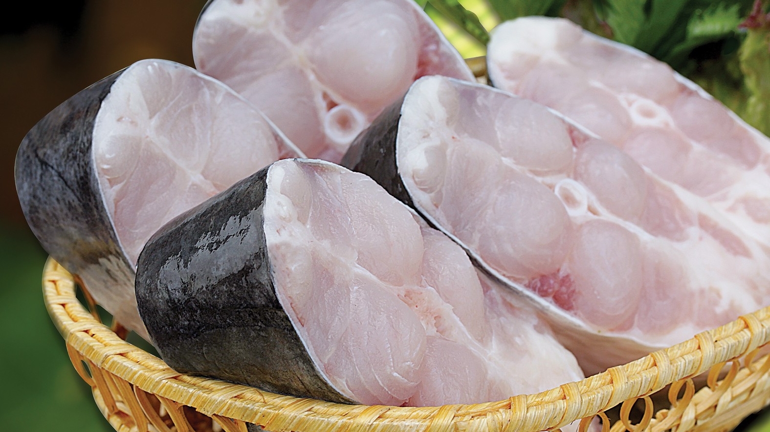 为越南查鱼和巴沙鱼进军澳大利亚市场创造有利条件