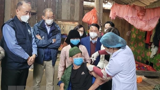 世卫组织将同安沛省乃至越南并肩协作防控新冠疫情