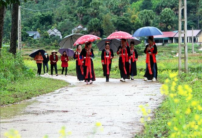 宣光省青衣瑶族同胞的村庄祈祷仪式是越南民族独特的信仰文化之一（附图）