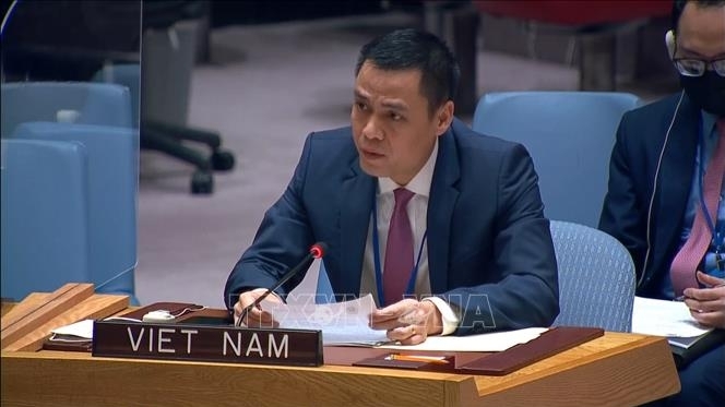 越南向国际社会分享越南在克服战争遗留地雷后果的经验和取得的成果