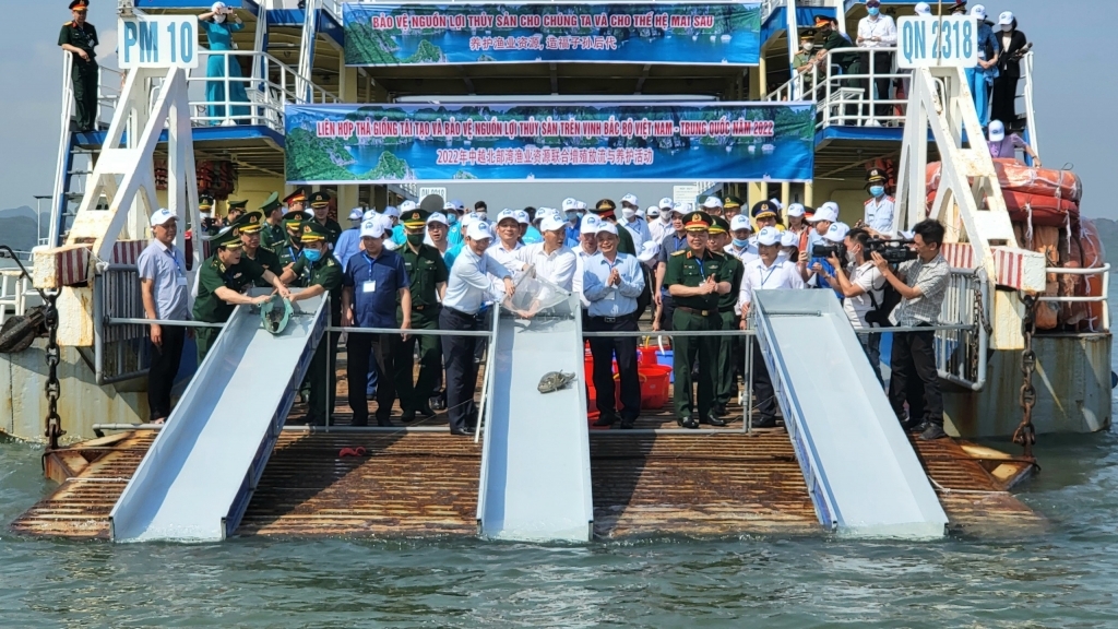 越中两国在携手促进北部湾海域水生资源恢复和再生以及渔业发展