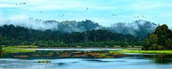越南吉仙国家公园的野生自然生态