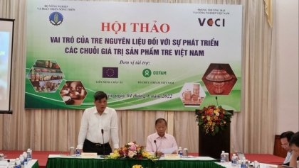 原料竹在越南竹制品价值链发展中的作用