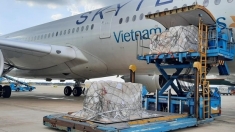 再有由德国捐赠的18万套新冠病毒快速检测试剂盒运抵越南