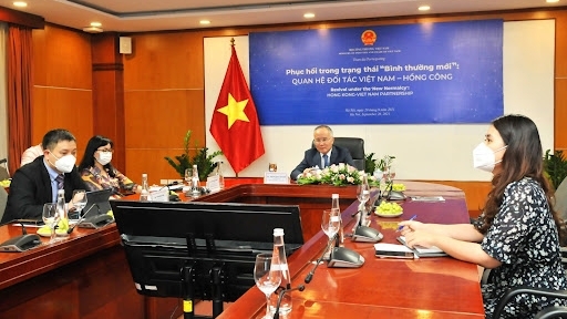 越南与中国香港合办网上研讨会 为新常态下的合作创造条件