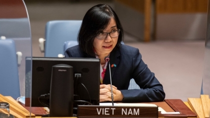 越南支持由叙利亚人民领导和控制的政治解决方案