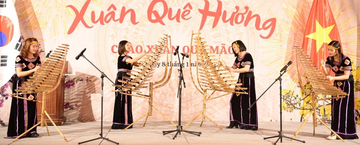 “家乡之春”活动上的传统乐器表演节目。
