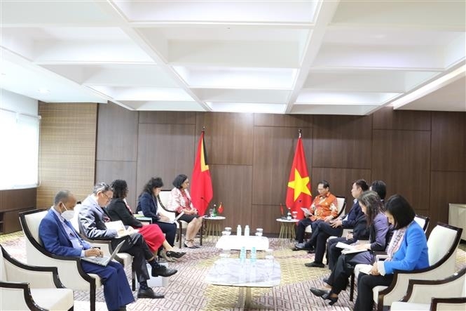 越南外交部部长裴青山会见东帝汶外交合作部部长阿达尔吉萨·阿尔贝蒂娜·沙维尔·雷斯·马尼奥。