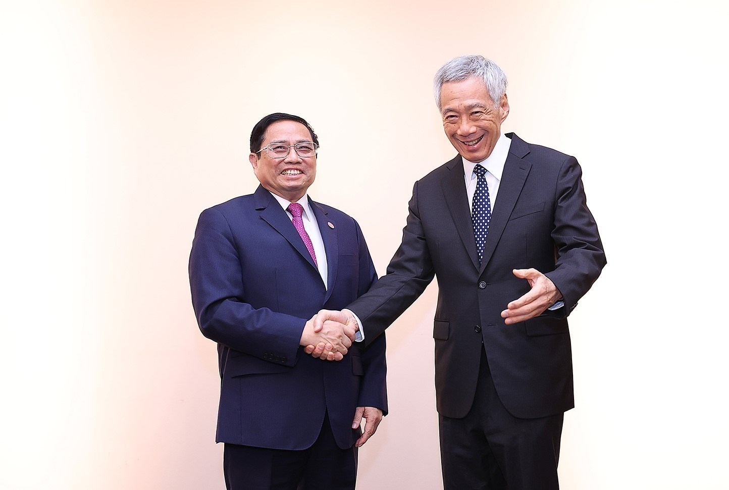 越南政府总理范明政与新加坡总理李显龙。