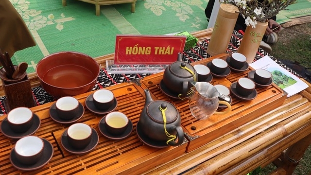 纳杭山雪茶——令人难忘的宣光省山林味道