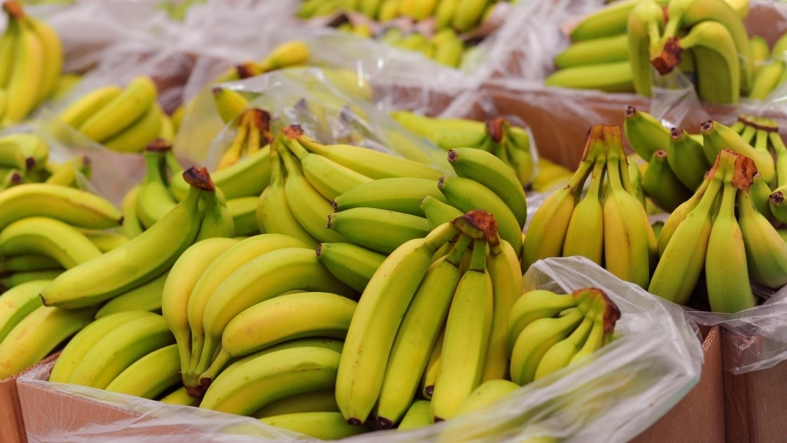 香蕉对华出口：打造新型农产品产业的大好机遇