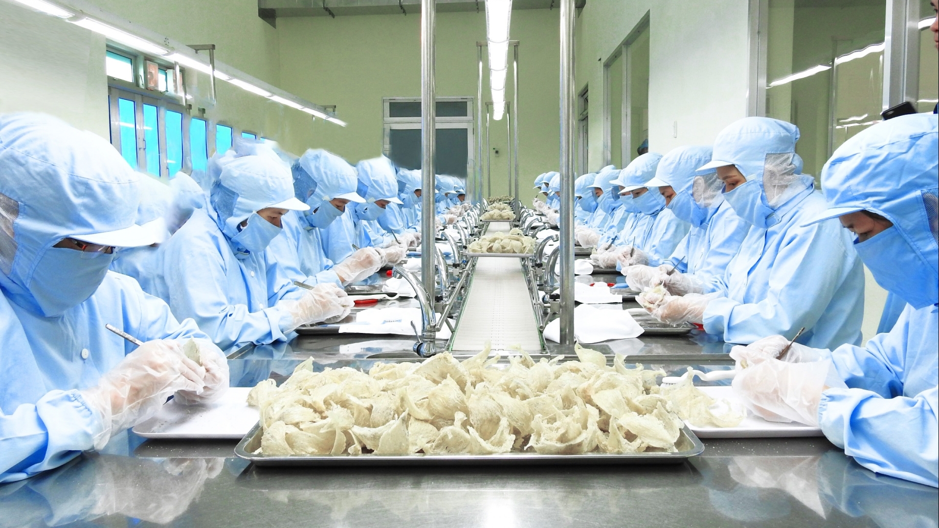 中国正式从越南进口红薯和燕窝